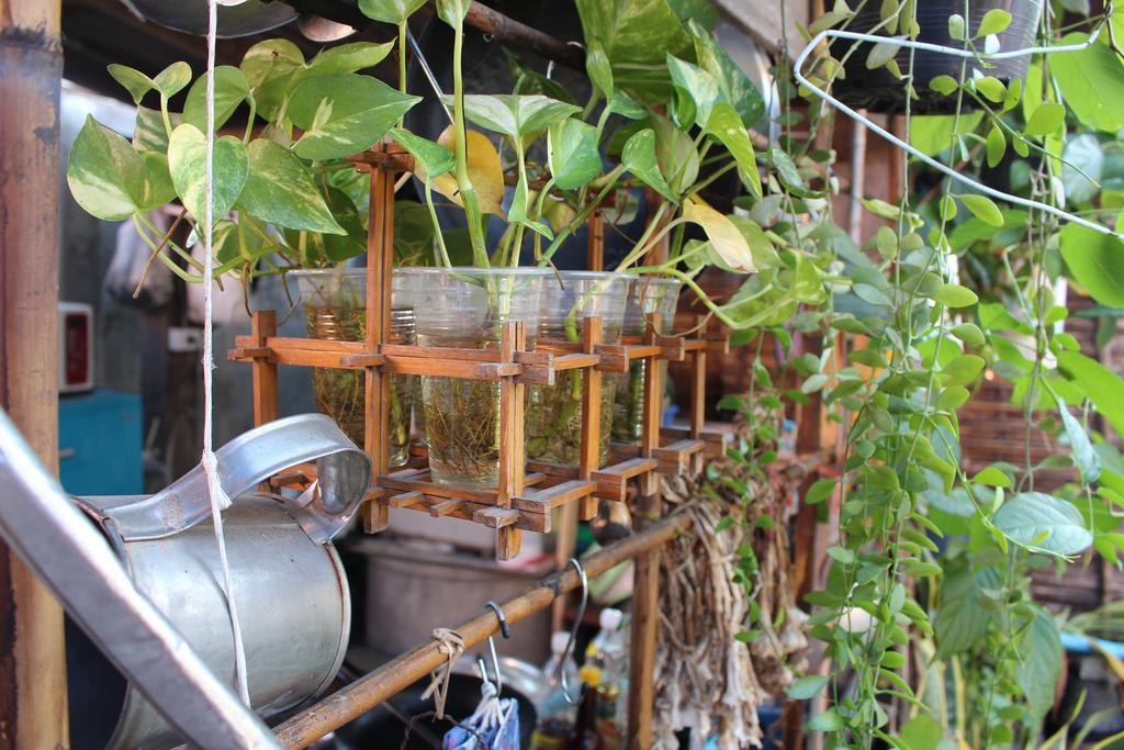 Baan Arlhan Chiang Mai Exteriör bild